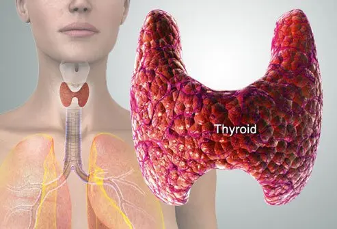 Thyroid Disorders